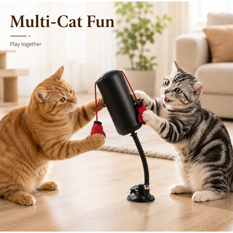 PET TOY