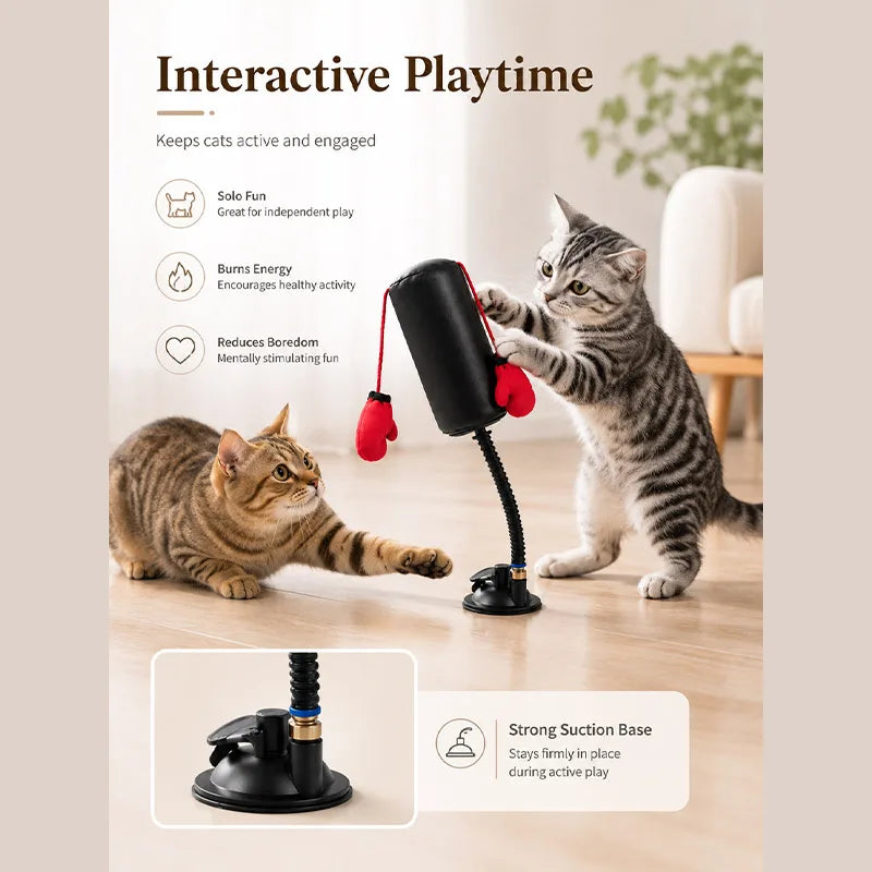 New Cat Boxing Interactive Toy Multifunctional Cat Entertainment Game For Boxing And Self-relaxation Cat Training Toy Fun
