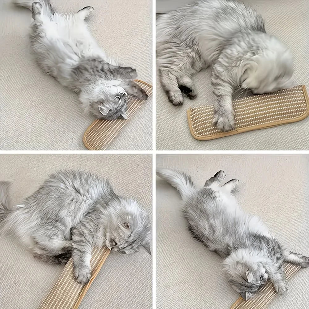2 in 1 Cat Toy Pillow & Scratching Mat Interactive Cat Toys for Indoor Cats Kitten Play Calming Pet Gift